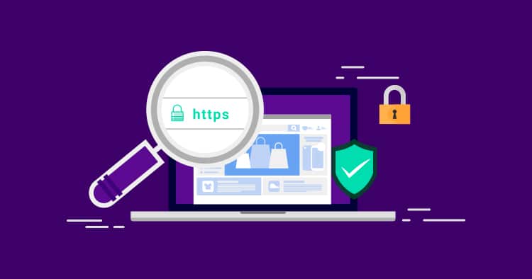 web security