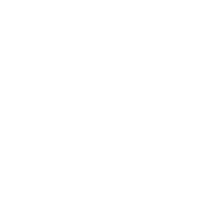 angular js development company
