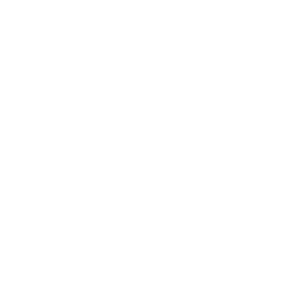 angular js development company