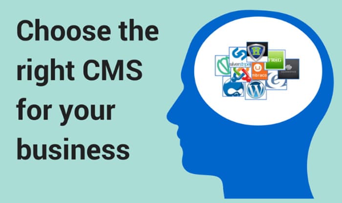 best cms for website