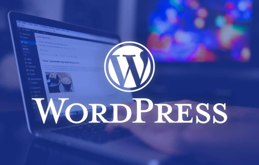 WordPress Consultant
