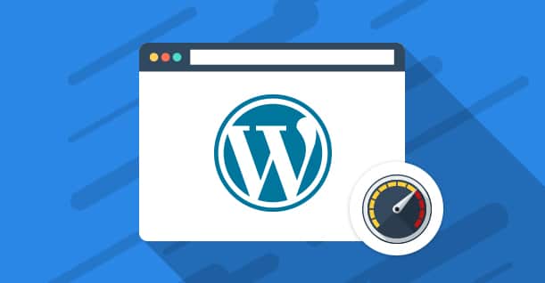 WordPress speed optimization service