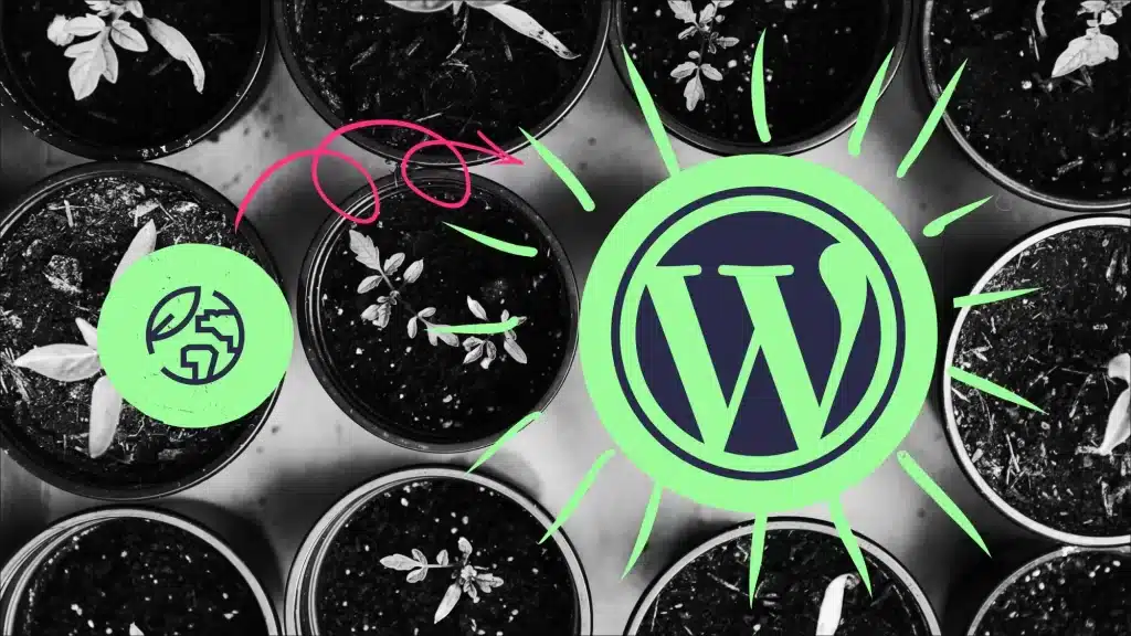 Sustainable WordPress Development: Eco-friendly Practices for Modern Websites 2 custom WordPress development services