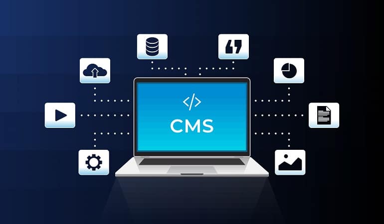 custom WordPress development company