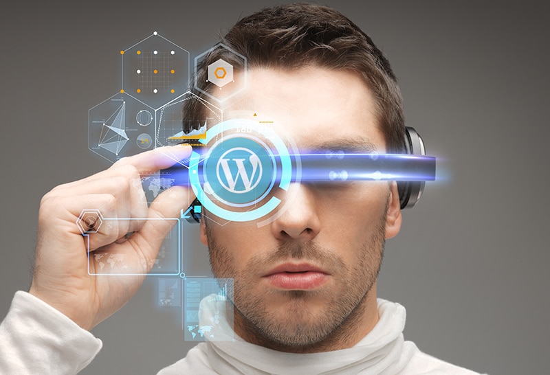 top WordPress development company