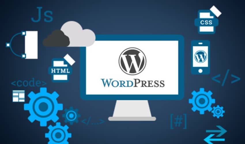 custom WordPress development company