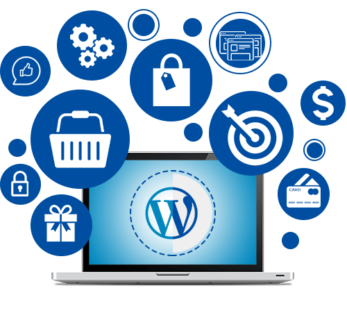custom WordPress development company