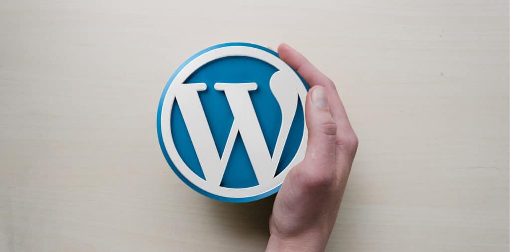 top WordPress development company