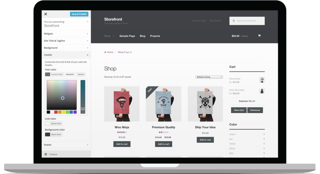 WordPress development company in USA