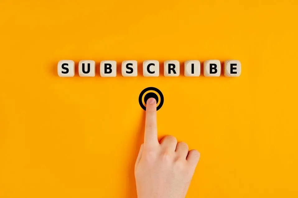 Adapting eCommerce for the Subscription Economy: Tips for Sustained Growth and Engagement 3 ecommerce development company in the USA