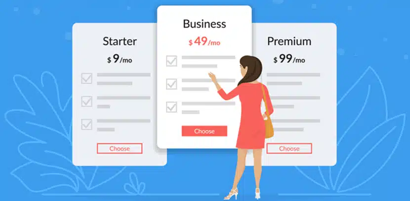 Adapting eCommerce for the Subscription Economy: Tips for Sustained Growth and Engagement 1 ecommerce development company in the USA