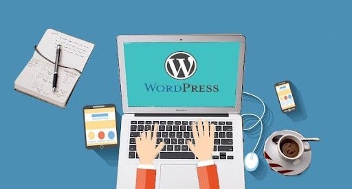 WordPress custom development